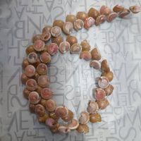 تصویر اول صدف مدل حلزونی