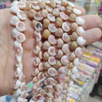 تصویر دوم صدف مدل حلزونی
